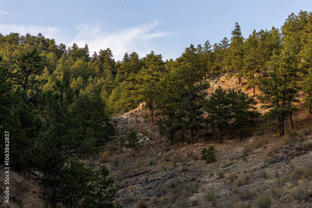 Sunset in Boulder Colorado, Hiking in the Foothills, Trees Sunset in Boulder Colorado, Hiking in the Foothills, Trees
