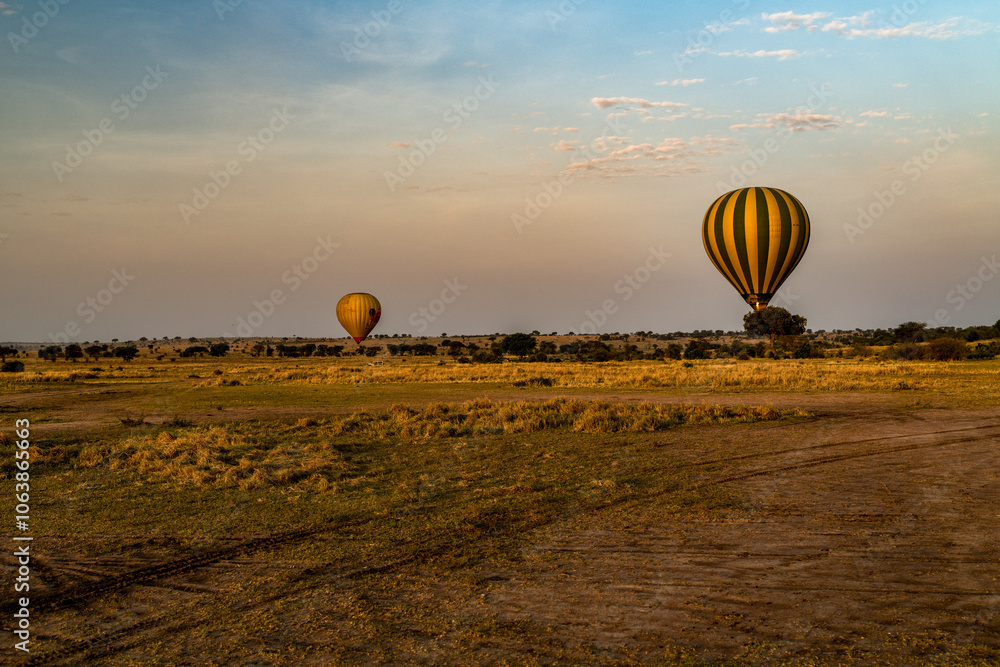 Obraz premium Ballonsafari