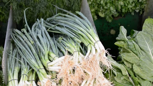 fresh green grocary plant vegitabels on market  photo