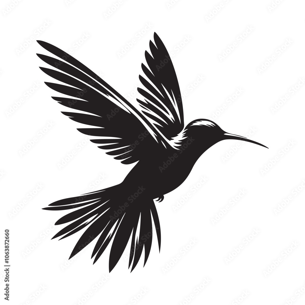 Fototapeta premium Hummingbird in flight silhouette vector black color and solid white background