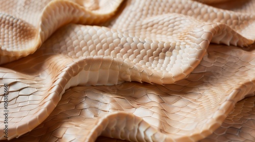 Close view of tactile folds of snake skin, revealing intricate scales and rich texture in warm earthy tones. photo