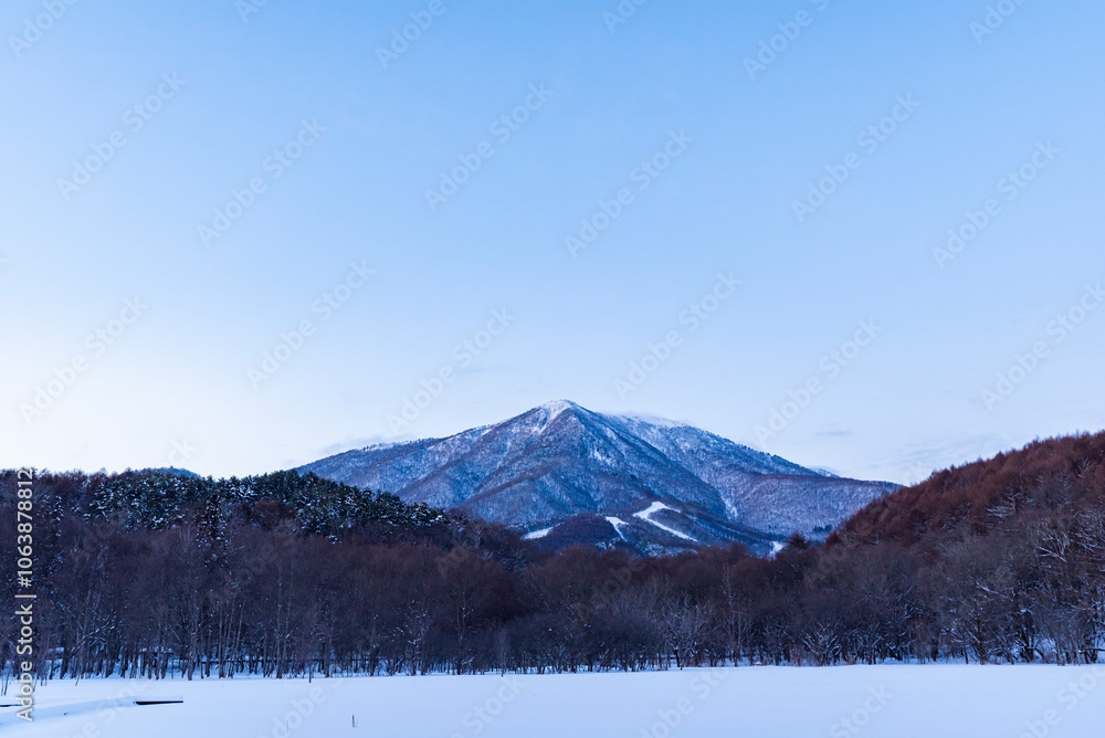 冬の大谷地湿原から望む飯縄山 長野県長野市飯綱高原 冬の大谷地湿原から望む飯縄山 長野県長野市飯綱高原