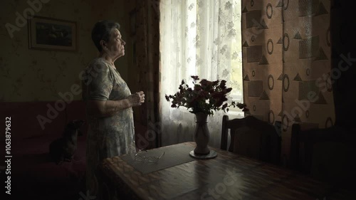 Thoughtful sad elderly woman looking out window holding handkerchief in hands.