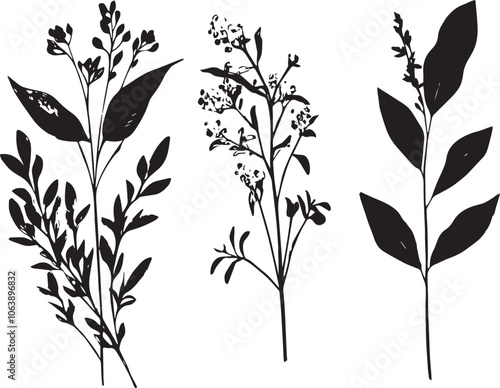 Set plants. Hand drawn vector illustration