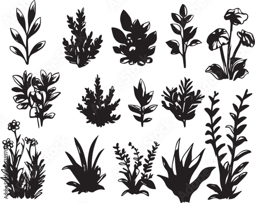 Set plants. Hand drawn vector illustration