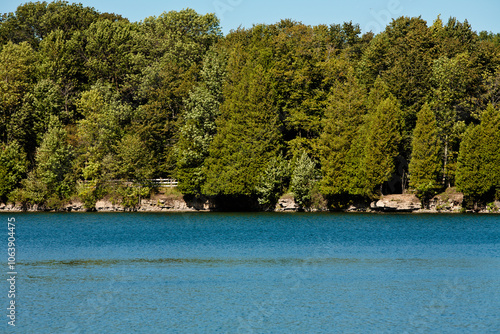 Cedar trees along quarry lake in early autumn  at Harrington Beach State Park, Belgium, Wisconsin