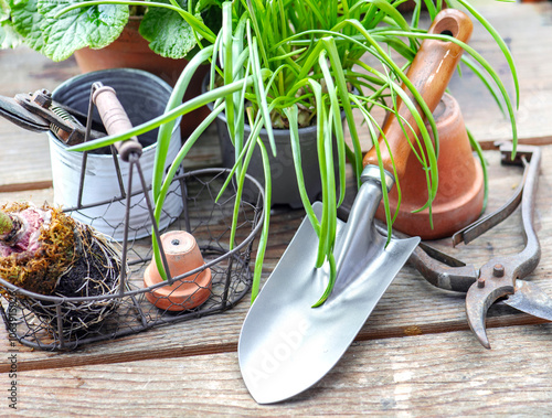 leaf of plant and flower pot and with shovel and other garden equipment on wo...