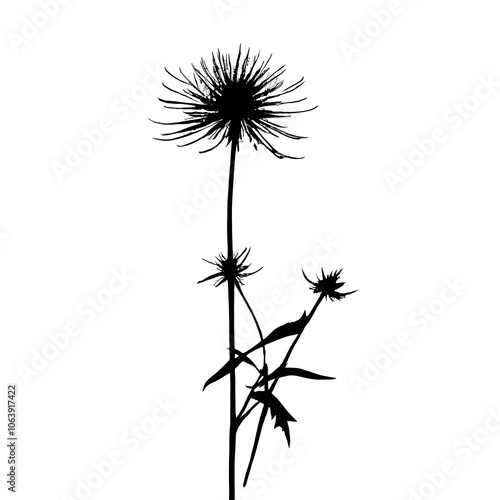 Wallpaper Mural Flower concept design idea isolated on a white background Torontodigital.ca