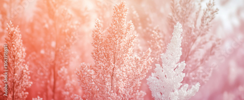 Soft coral floral background. Macro photo of flowers in pastel colors with copy space