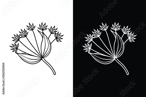 Caraway vegetable fennel seed icon on White Background Vector Art Illustration on white background.	