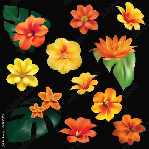 set of yellow and orange flowers isolated on black background