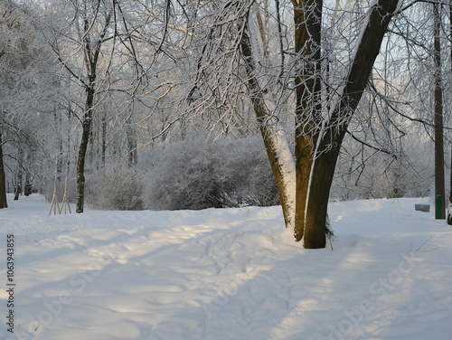 Winter landscape - a snow-covered park with beautiful trees, covered with hoarfrost. A Christmas picture - a winter forest, a sunny day in a fairy-tale park.