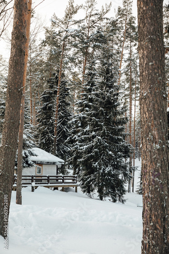 Lonely house in a winter snowy forest