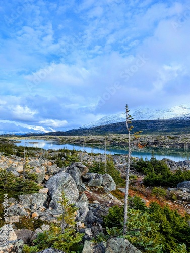 Fotografía Landscape along the Klondike Highway in Yukon, Canada.