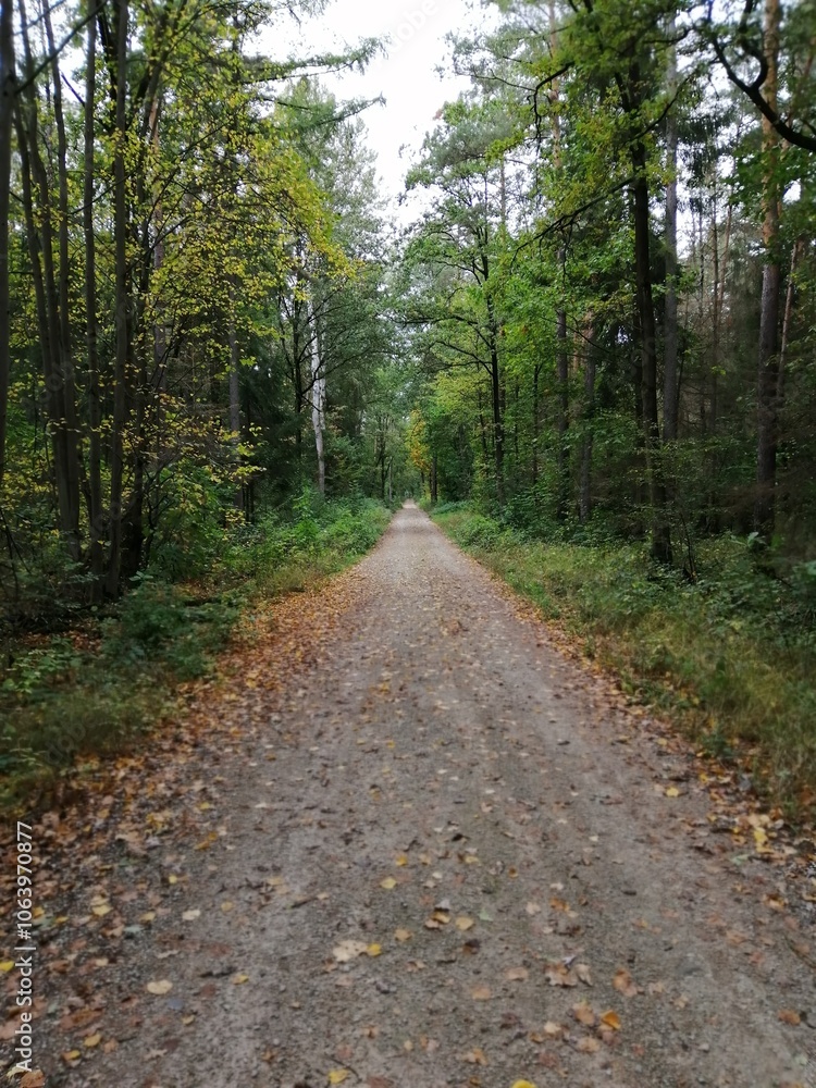 herbst herbst
