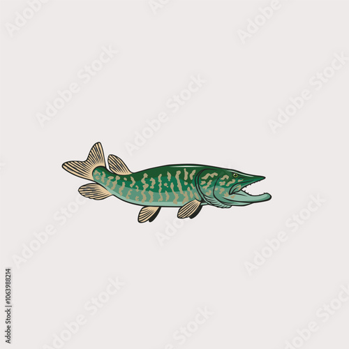 The figure shows a pike fish