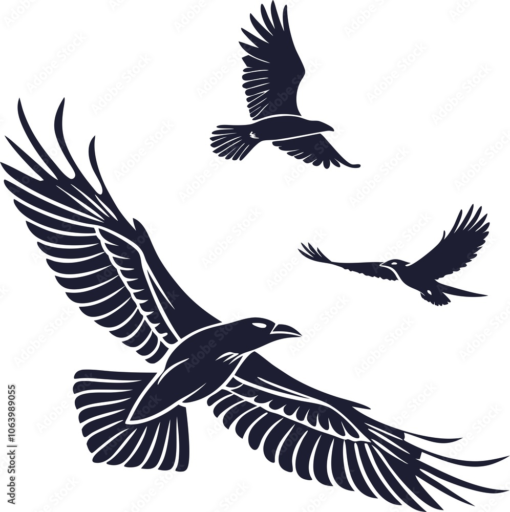 Obraz premium Bird Design ! Fly Birds ! 