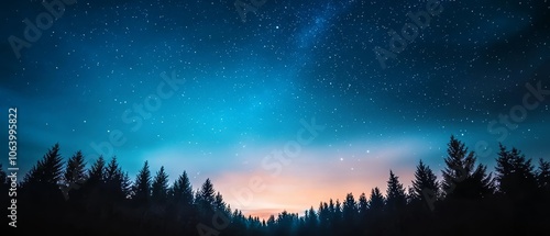 A night sky with stars and trees in the foreground