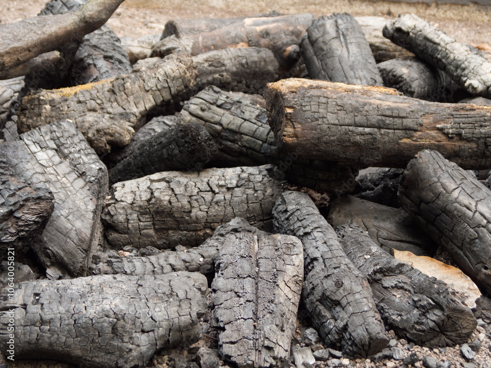 Closeup of burned and blackened tree logs, lying outside on the ground in a pile. Closeup of burned and blackened tree logs, lying outside on the ground in a pile.