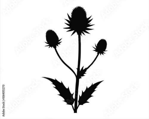 Wallpaper Mural Black Silhouette of a Thistle Plant Icon, Perfect for Botanical Designs, Nature Themes, Floral Illustrations, and Garden Projects. Vector Illustration. Torontodigital.ca