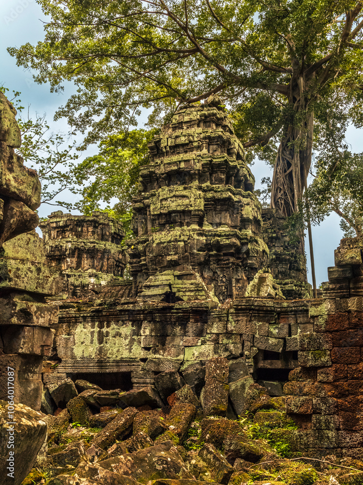 Roots, overgrown silk-cotton and strungler fig trees and ruins at the Ta Prohm temple in the Cambodian jungle Roots, overgrown silk-cotton and strungler fig trees and ruins at the Ta Prohm temple in the Cambodian jungle