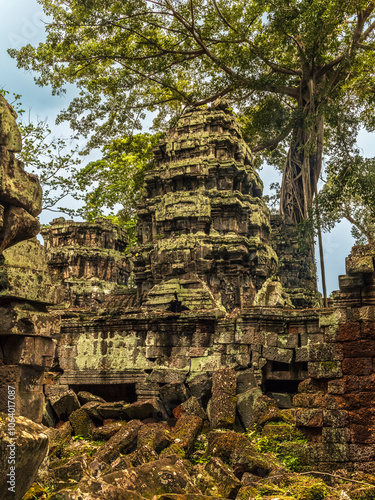 Roots, overgrown silk-cotton and strungler fig trees and ruins at the Ta Prohm temple in the Cambodian jungle photo