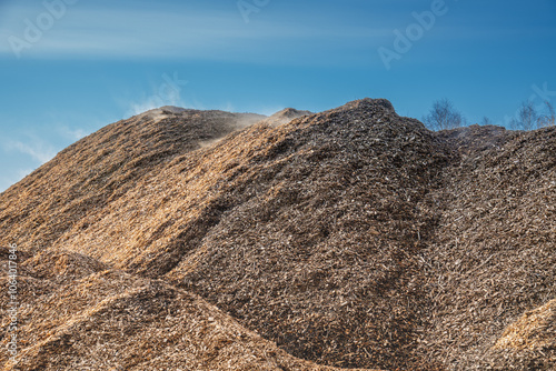 Huge pile of fresh woodchips against the sky.. pile woodchips.