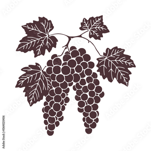 Bunch of grapes with leaves, silhouette. Hand drawn illustration on white background