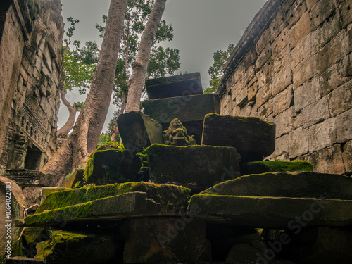 Roots, overgrown silk-cotton and strungler fig trees and ruins at the Ta Prohm temple in the Cambodian jungle