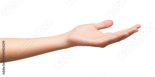 Close-up of young woman hand holding empty space. Fingers spread, palm open, showing gesture. Gray background isolates hand, hand details, finger tips, nail. Hand holds nothing, empty, concept image.