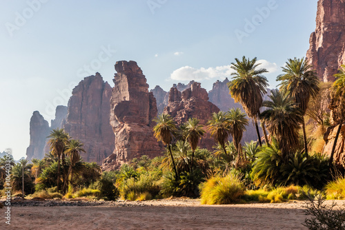 Palms in Wadi Disah canyon, Saudi Arabia photo