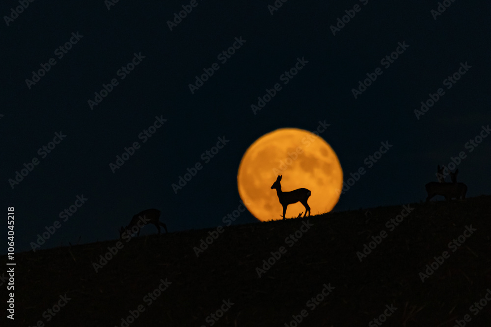 Naklejka premium Mond