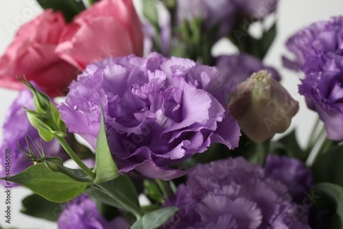 Beautiful eustoma flowers on blurred background, closeup