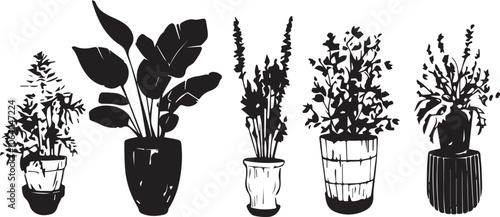 Set plants. Hand drawn vector illustration