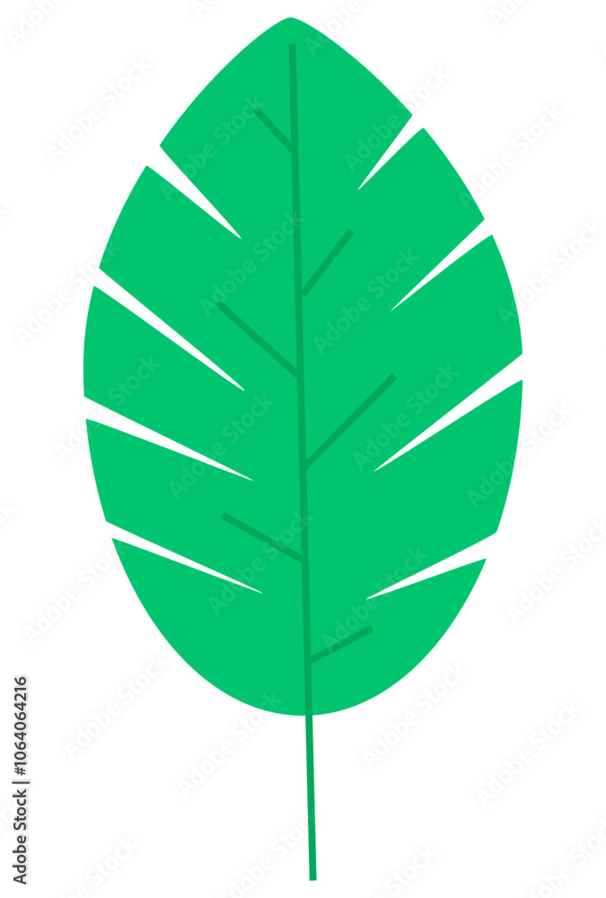 Single green leaf vector image, single leaf png image, editable green leaf image Single green leaf vector image, single leaf png image, editable green leaf image