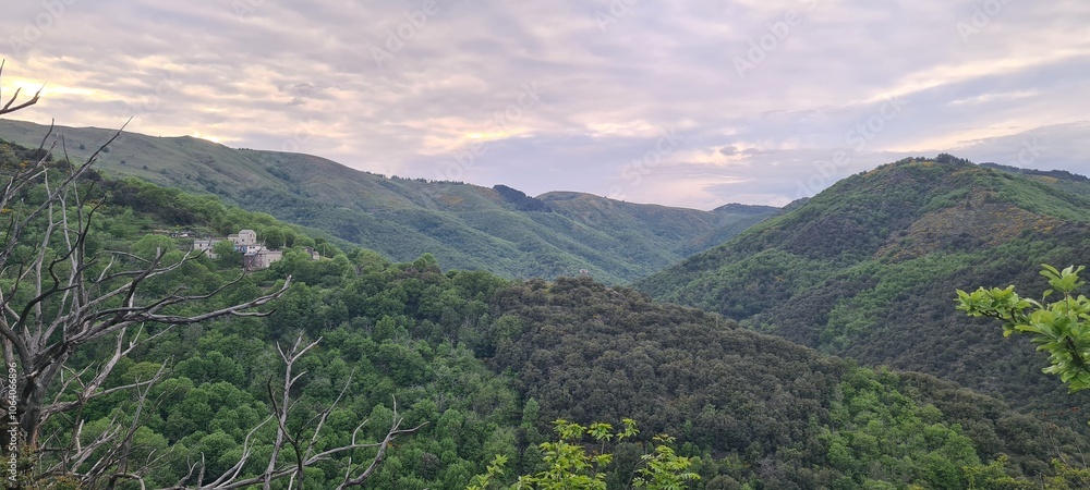 Obraz premium Le fond de la vallée Borgne au coucher du soleil au printemps (parc national des Cévennes)
