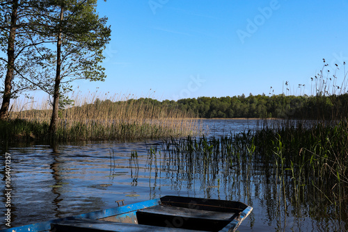 Fototapeta Naklejka Na Ścianę i Meble -  A blue wooden boat moored on the shore of a lake, Borki, Warmian-Masurian Voivodeship, Poland