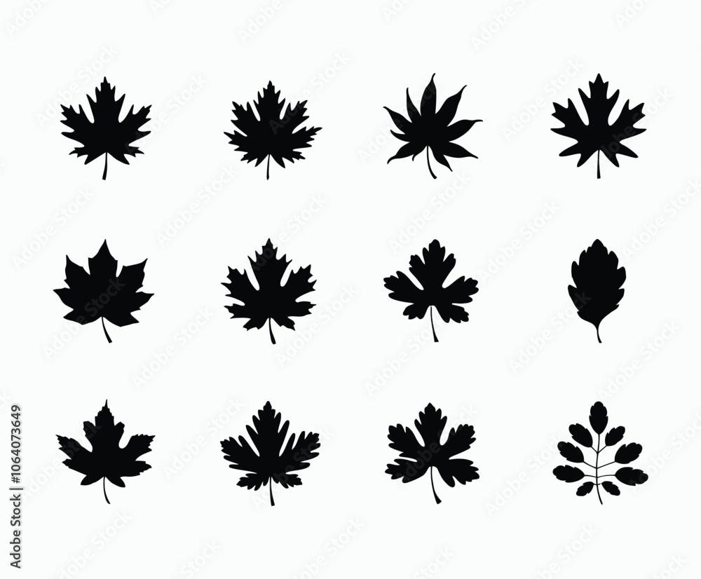 A Collection of Oak Leaf Silhouette Vector Template A Collection of Oak Leaf Silhouette Vector Template