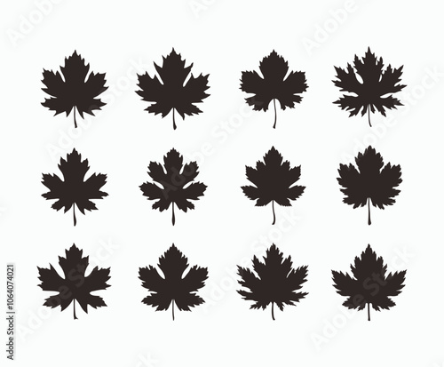 Wallpaper Mural Elegant Maple Leaf Silhouette EPS Vector Template Illustration Torontodigital.ca