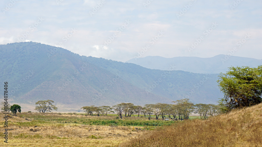 scenic landscape in the serengeti scenic landscape in the serengeti