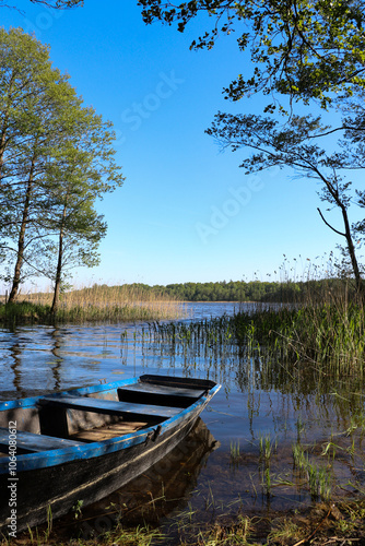 Fototapeta Naklejka Na Ścianę i Meble -  A blue wooden boat moored on the shore of a lake, Borki, Warmian-Masurian Voivodeship, Poland