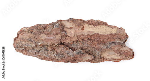 One piece of tree bark on white background, top view