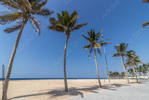 Palm lined beach at corniche promenade in Jeddah, Saudi Arabia