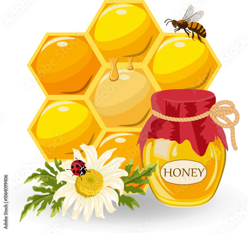 Jar with honey and honeycomb.Colored vector illustration with honeycombs, a jar of honey and insects on a transparent background.