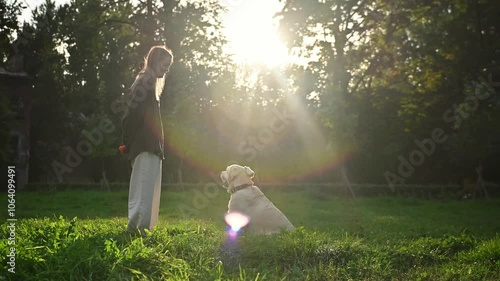 
A blonde girl is playing on a walk with her dog. A Labrador and a girl are having fun on vacation. A dog trainer is engaged with Labradors in the park
