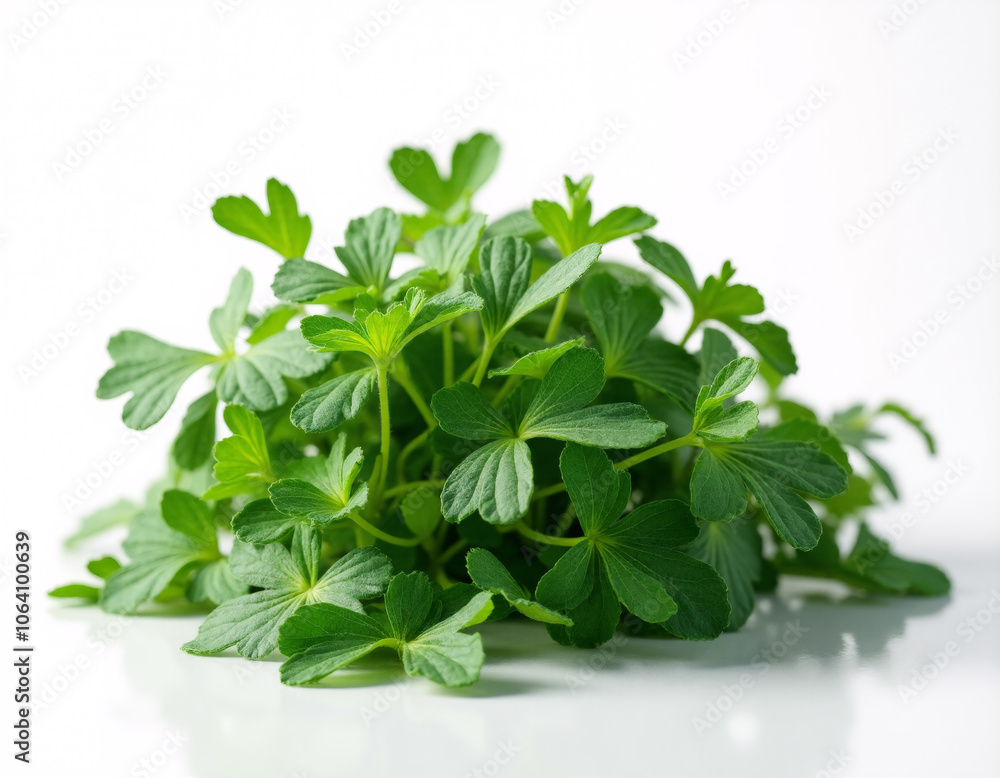 food on white background. Generative ai. food on white background. Generative ai.