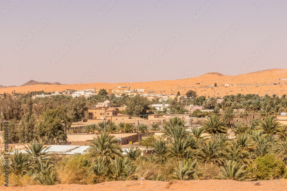 Small village oasis near Ha'il, Saudi Arabia Small village oasis near Ha'il, Saudi Arabia
