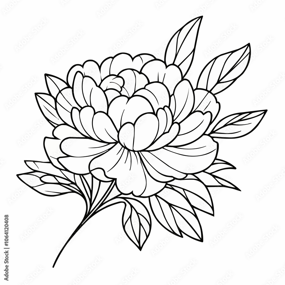 Simple Line Drawing of a Peony for Tattoo Design Simple Line Drawing of a Peony for Tattoo Design