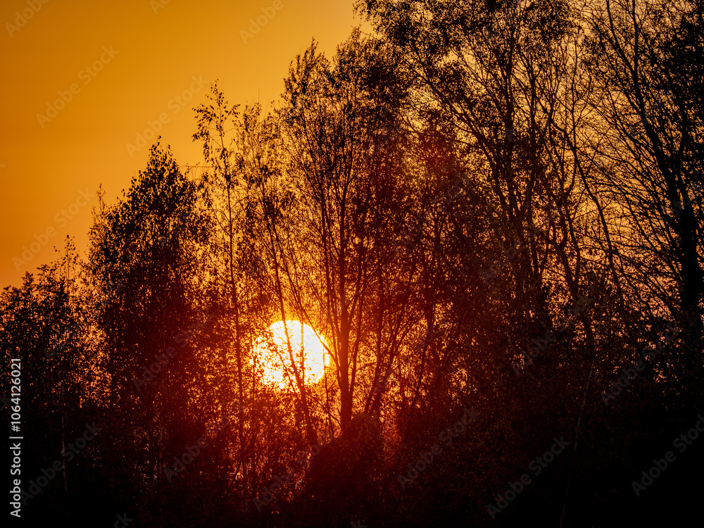 Sonnenlicht im herbstlichen Wald Sonnenlicht im herbstlichen Wald