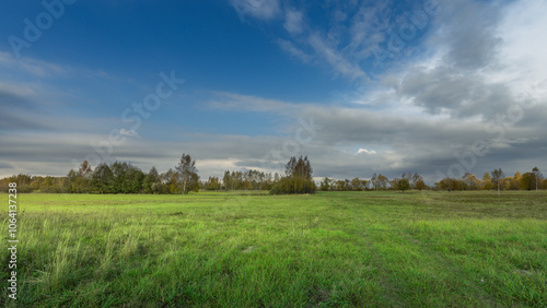 A large, open field with a blue sky and a few trees